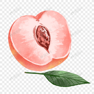 WWW,av697·COM网站APP最新版